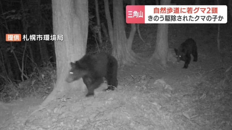 札幌・三角山の自然歩道　カメラに“若グマ”２頭の姿　前日に駆除された母グマの子どもか　付近の住民に注意呼びかけ　札幌市西区