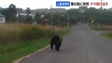 「危ね！マジで！おいおい」道路に突然クマが飛び出し「うそ！」車の前を走り茂みの中へ…体長1.2～1.5ｍ出没の一部始終をドラレコが記録　北海道上富良野町