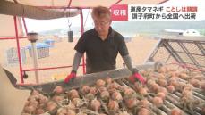 全国の生産量の６割あまりを占める“タマネギ”生産地の北海道　サッカー場25個分もある広大な畑では加熱すると甘みが際立つ品種“北もみじ2000”が収穫のピーク　北海道訓子府町