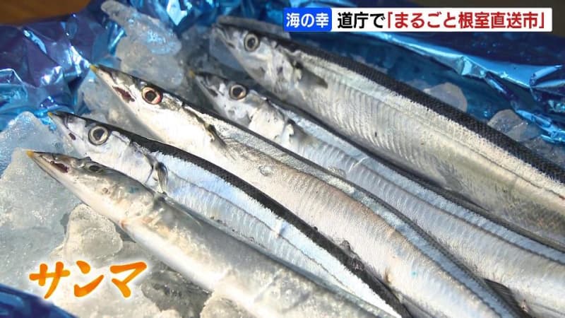 サンマや花咲ガニ、名物のせんべいも『まるごと根室直送市』北海道庁赤レンガ庁舎前で開催「普段、根室が遠くて来られない方も楽しんで」20日まで