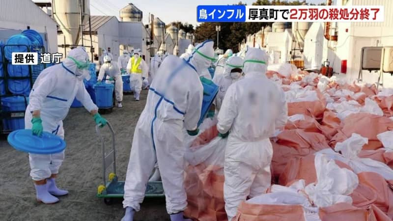 高病原性鳥インフルエンザ養鶏場、約２万羽の殺処分終了　周辺養鶏場で同様の報告なし　３週間は鶏の移動や搬出制限の見通し　北海道厚真町