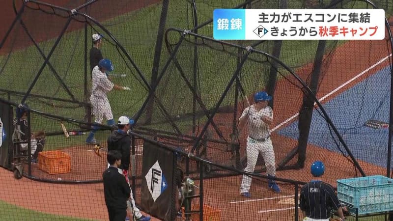 ファイターズがエスコンで秋季キャンプ　来シーズンに向けて早くも始動　野村佑希や進藤勇也が猛アピール