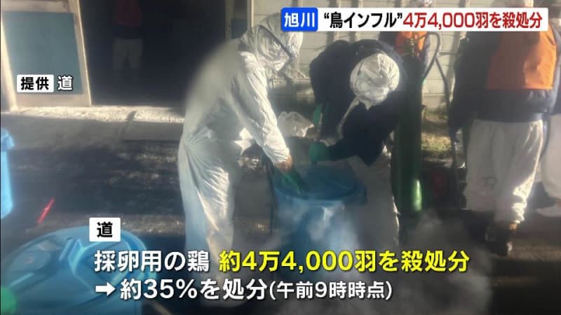 &quot;高病原性鳥インフル&quot;確認の北海道旭川市の養鶏場　約４万4000羽の殺処分進む　今シーズン北海道内の養鶏場での発生は２例目