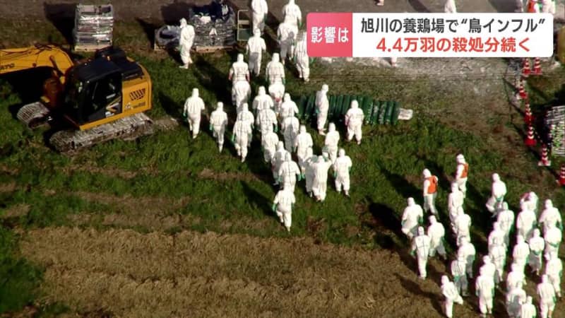 “採卵用”養鶏場で鳥インフル…4.4万羽の殺処分続く　鈴木直道知事「直ちに卵の流通や価格に影響を与えるものではない」北海道旭川市