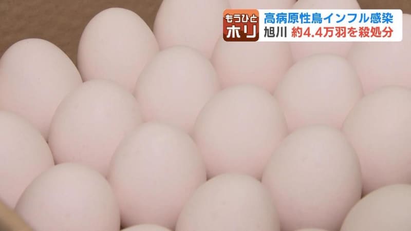 “エッグショック”再来への懸念　北海道では鶏4万4000羽の殺処分着手も価格への影響は限定的か…全国では過去最多ペースで価格上昇リスクも