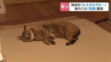 猫はストーブから離れられず…十勝の陸別町で－0.9℃「もうガタガタ」稚内市で“初霜”北海道内の約半分の観測地点で今季一番の冷え込み