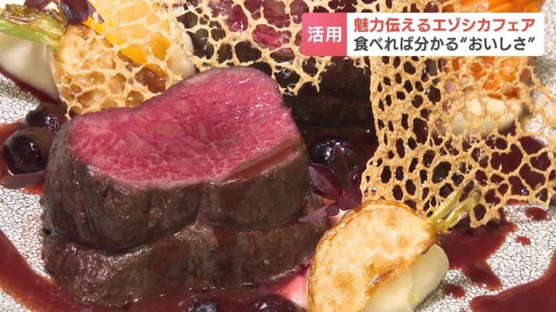 食べれば分かる“おいしさ”豊富な鉄分、高タンパク、低脂肪「ジビエ」の代表格エゾシカに料理長「いろいろ味わって」全道でフェア始まる