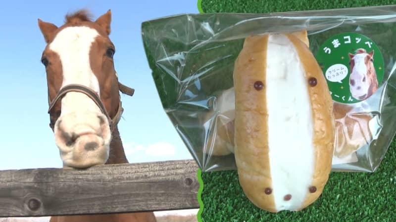 引退馬をモデルに見た目は瓜二つ「うまコッペ」経営難の菓子店が起死回生の大繁盛“うまてなし”馬産地を元気に「馬&#215;ネコ」もSNSで大人気