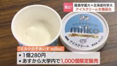 北海道の大学生が開発『ミルクの子あいす ｍｉｌｋｏ（みるこ）』　全部手作業で生産　大学内で1000個限定販売