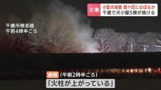 犬小屋5棟焼ける火事　トイプードルなど約80匹を飼育　複数の小型犬の死がい見つかる　北海道千歳市