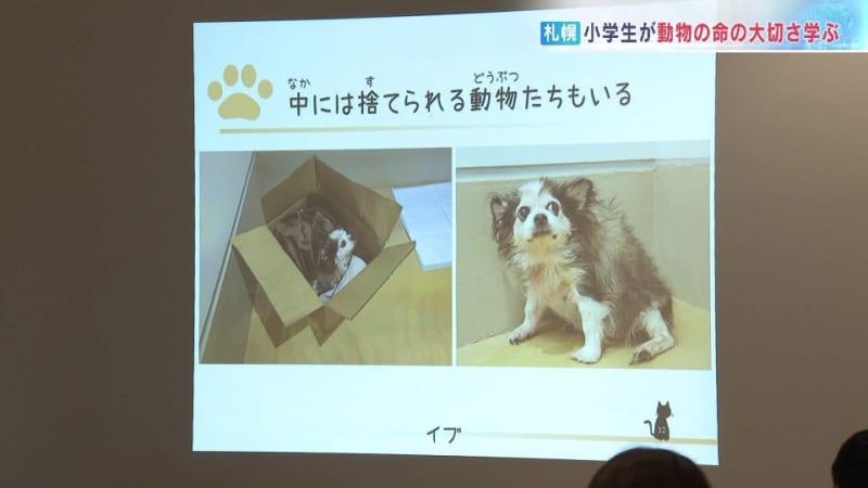 小学生が動物の命の大切さを学ぶセミナー　動物愛護センター「あいまるさっぽろ」で開催　札幌市