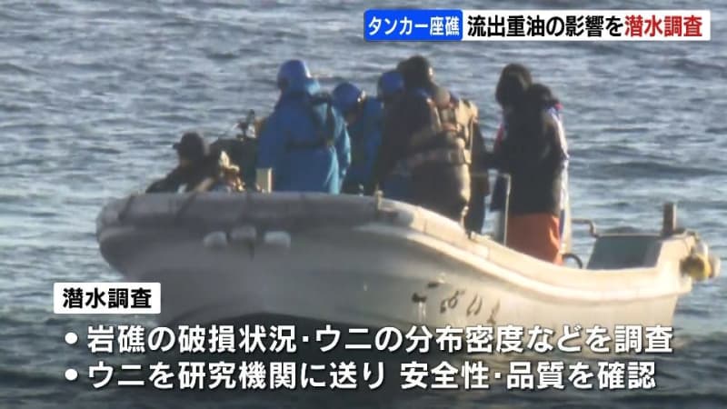 恵山岬でタンカー座礁で重油一時流出　ウニやフノリなど漁への影響は？ダイバーによる潜水調査始まる　北海道函館市