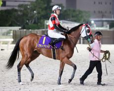【帝王賞】唯一の牝馬グランブリッジが４着に健闘　坂井瑠星騎手「強い馬を相手に頑張ってくれた」