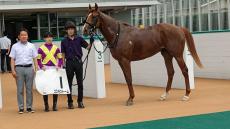 【小倉６Ｒ・２歳新馬】デクラレーションオブウォー産駒のコスモストームがデビュー勝ち