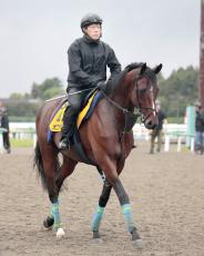 【注目馬動向】巴賞４着のオニャンコポンは引き続き菱田裕二騎手で函館記念へ