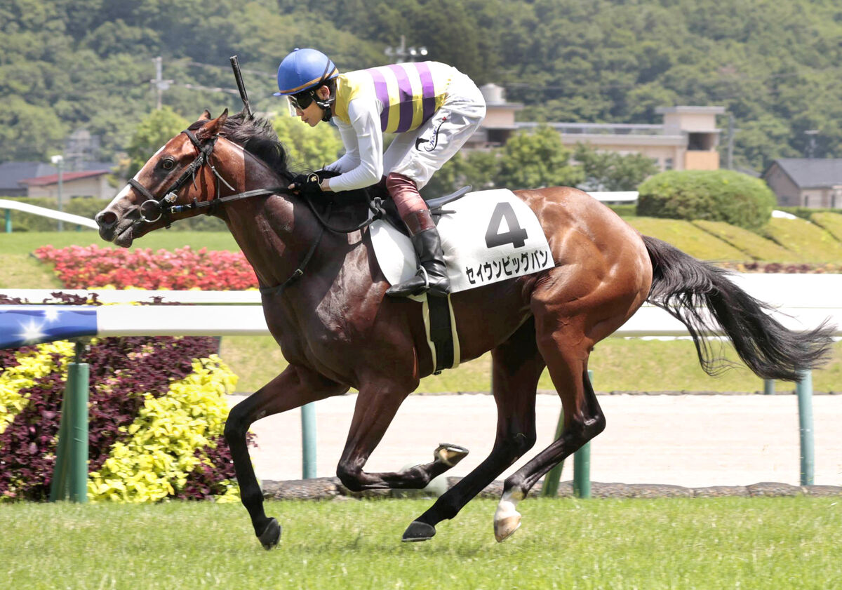 【福島６Ｒ・２歳新馬】５番人気のセイウンビッグバンが２馬身差Ｖ　今後はダリア賞を目標に