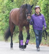 【注目馬動向】皐月賞馬のジャスティンミラノは天皇賞・秋に直行　鞍上は引き続き戸崎圭太騎手