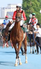 【函館２歳Ｓ】２番人気エンドレスサマー３着　横山和生騎手「新馬と違う展開にも対応してくれた」