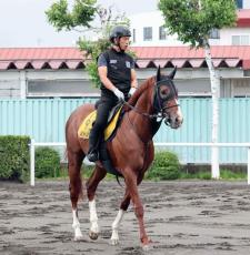 【エルムＳ】平安Ｓに続き重賞連勝を狙うミトノオーは初の札幌も問題なし　牧調教師「苦にしないと思う」