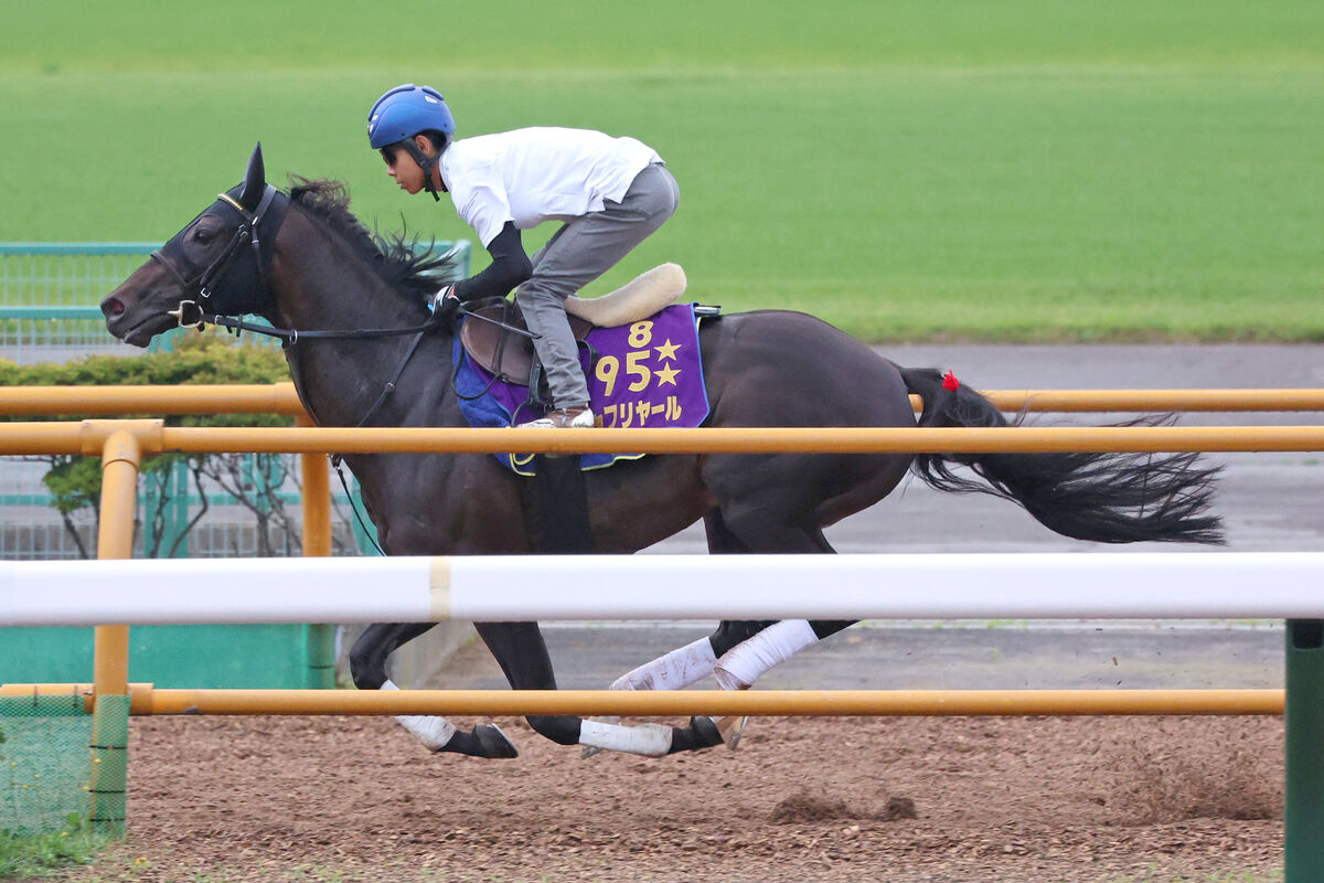 【札幌記念】シャフリヤールが２週前追い切り　陣営「ちょうどいいぐらい。来週からびしっとやります」