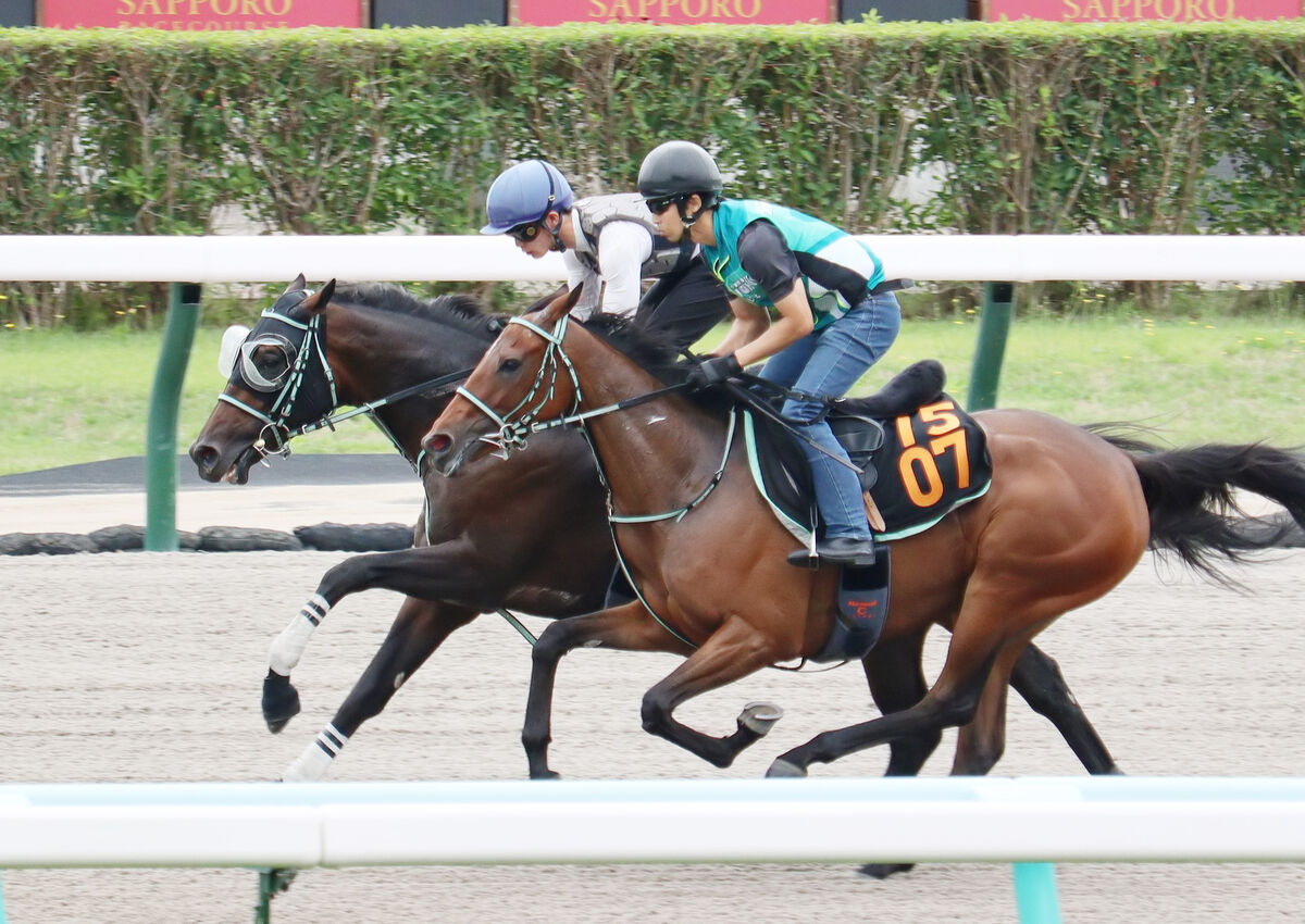 【エルムＳ】永野猛蔵騎手と人馬重賞初制覇へ、力みないナチュラルな動き　鞍上も「しっかりと手前を替えて楽に動けていた」