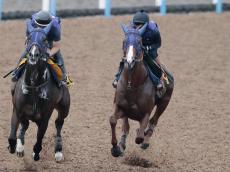 【レパードＳ】レモンポップなど抱える田中博厩舎の素質馬が豪快ラスト１１秒６　指揮官も「これからの馬ですが、能力は高い」