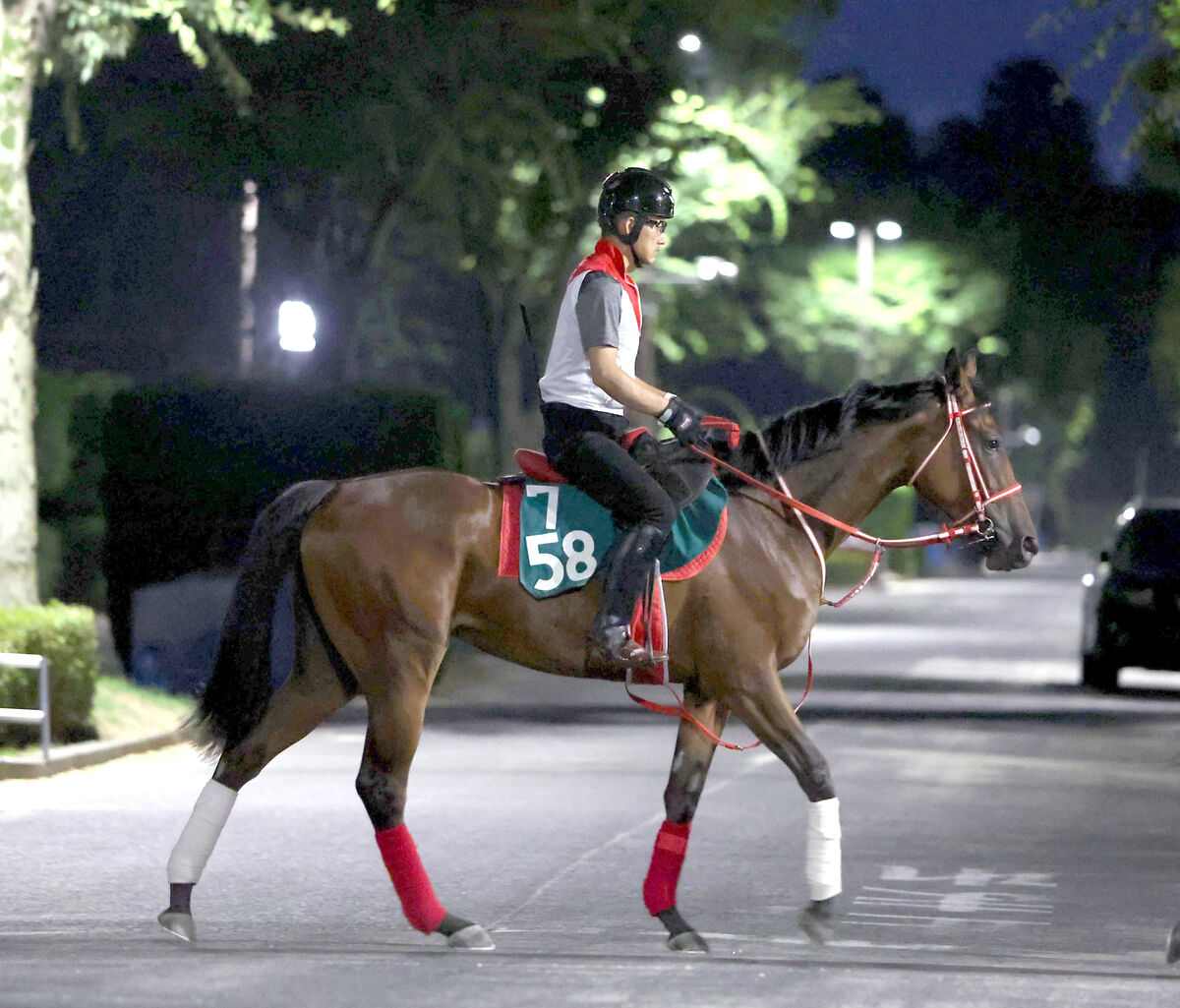 【ＰＯＧ】アイルランド産馬のキングマン産駒クランドゥイユが坂井瑠星騎手でデビュー