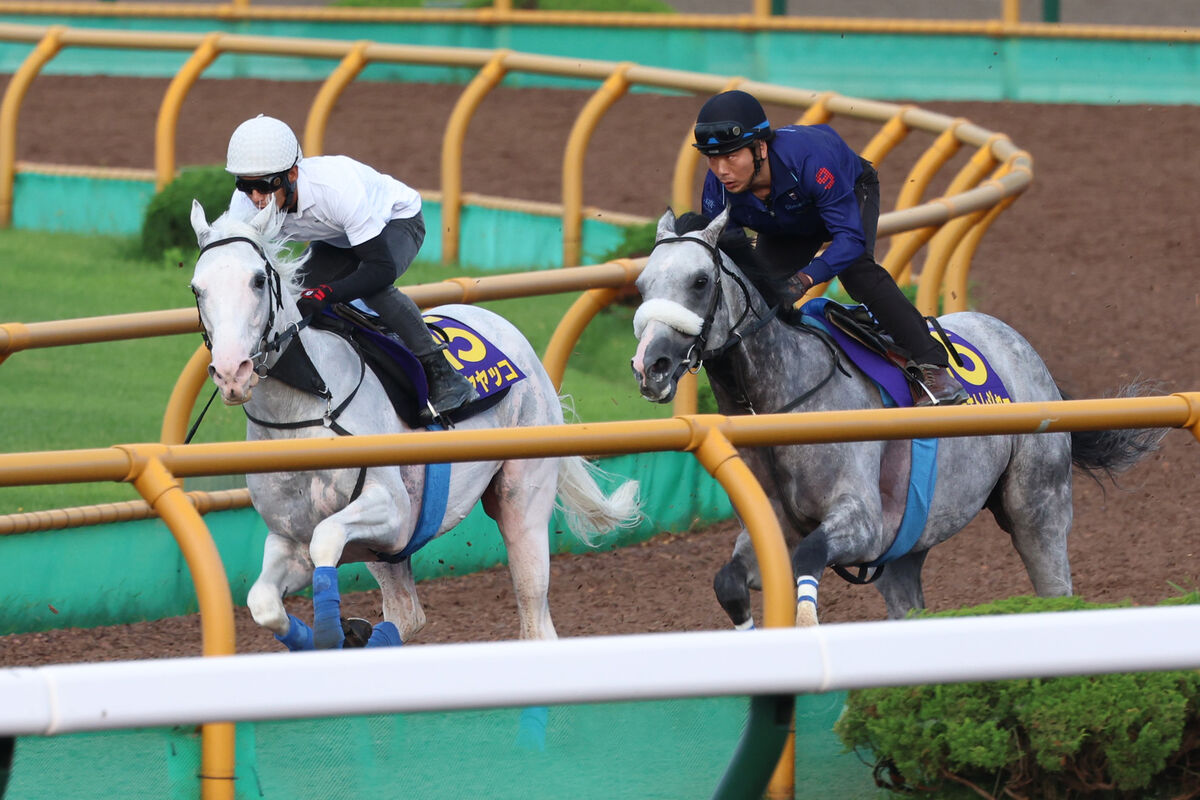 土曜メインレースの注目激走馬…札幌１１Ｒ札幌日経オープン（Ｌ）