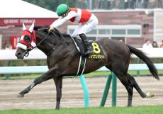 【札幌日経ＯＰ】６番人気のショウナンバシットが強気の競馬で押し切る　佐々木大輔騎手「折り合いがすごく良くなって」