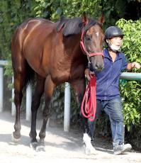 【小倉記念・浅子の特注馬】昨夏の中京開幕週は逃げ・先行馬が活躍　前で運びそうなシリウスコルトに期待
