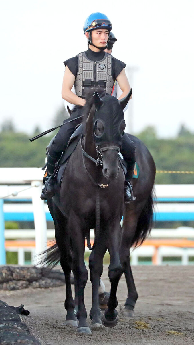 【関屋記念・松末の特注馬】スムーズな競馬さえできれば３歳の素質馬ロジリオンが反撃