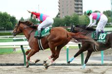 【エルムＳ】ペイシャエスが重賞３勝目