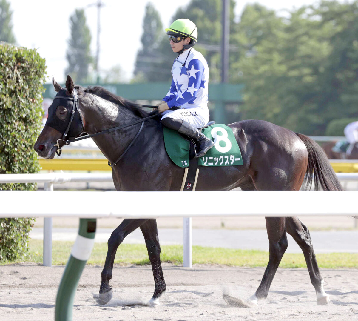 【レパードＳ】「暑さの影響としか考えられない」川田将雅騎手騎乗のソニックスターは失速して９着