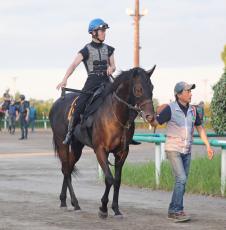 【関屋記念】ロジリオンが初コンビの永野猛蔵騎手と巻き返し図る「楽しみをもって競馬にいけます」