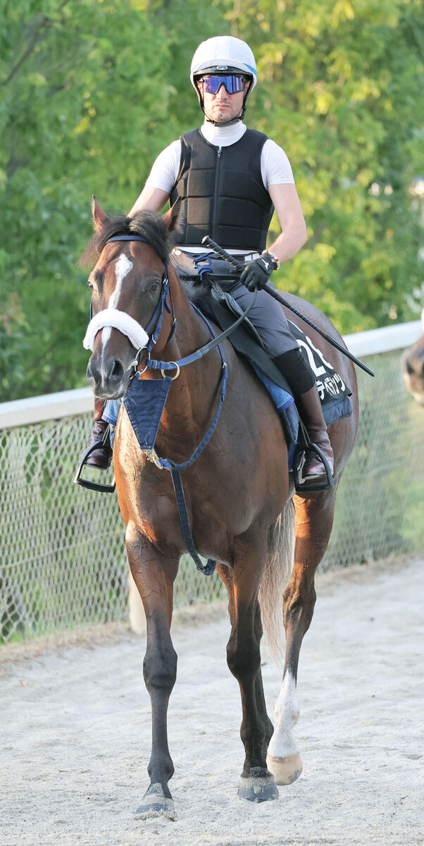 【関屋記念】アーリントンＣ制した３歳牡馬が古馬と初激突　重賞２勝目へ陣営「レースで力を出し切れれば楽しみ」