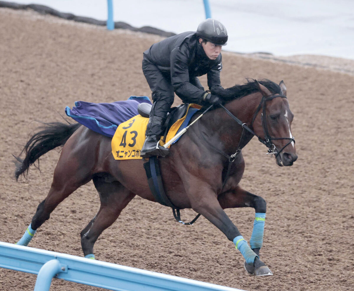 【関屋記念】オニャンコポンは函館で調整中　陣営「温泉効果か、駐立も良くなっている」マイル戦に期待