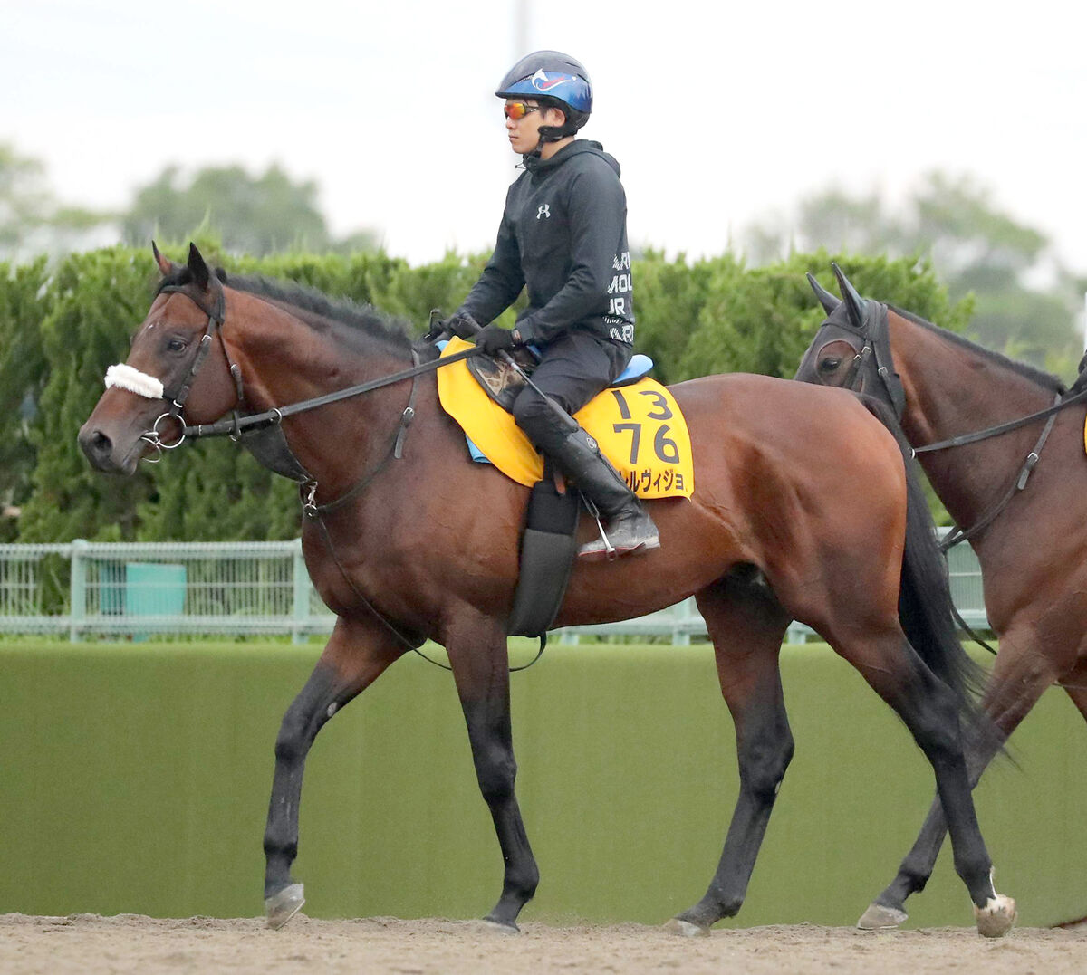 【関屋記念】パラレルヴィジョンは左回りも問題なし「特に回りでどうこうはない。乗りづらい馬でもない」