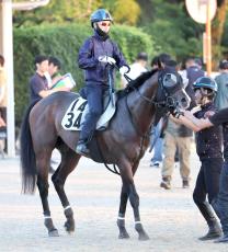 【関屋記念】トゥードジボン、重賞初制覇＆シリーズ王者へ順調　四位調教師「地力をつけている」