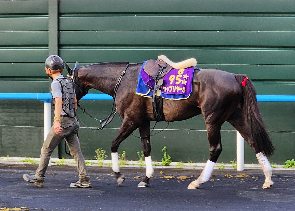 【札幌記念】シャフリヤールは武豊騎手とコンビ　オファー受け「『エッ』と」驚くも「結果で返したい」