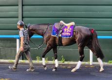 【札幌記念】シャフリヤールは武豊騎手とコンビ　オファー受け「『エッ』と」驚くも「結果で返したい」