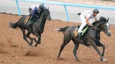 【関屋記念】永野猛蔵騎手とともに人馬初タイトルへ　ロジリオンは僚馬に楽々併入で視界良好