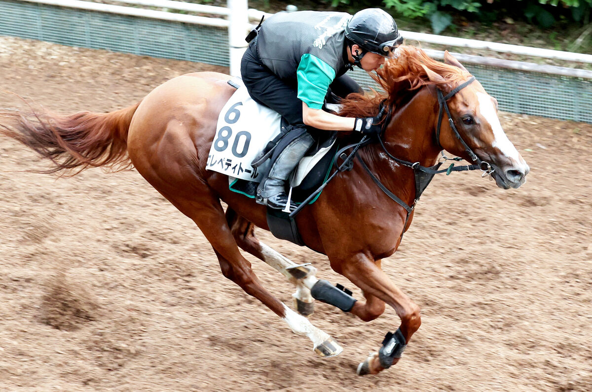 【関屋記念】好気配コレペティトールに中竹調教師が太鼓判　「いい状態でレースに出せる」