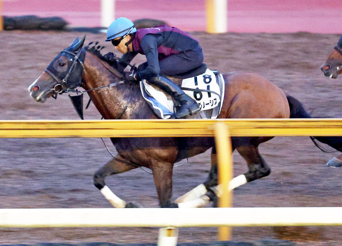 【札幌記念】昨年Ｖのプログノーシスはラスト１ハロン１１秒０　陣営「今年も好結果が得られるように」