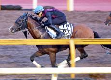 【札幌記念】昨年Ｖのプログノーシスはラスト１ハロン１１秒０　陣営「今年も好結果が得られるように」