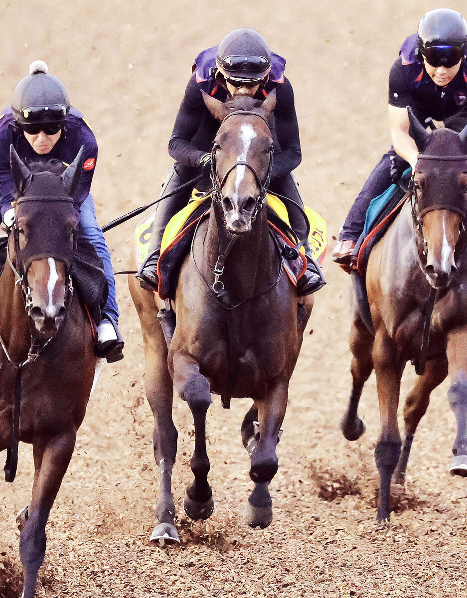 【関屋記念】木村厩舎が今年もＶへ　デビュー２戦目で重賞制覇の５歳牝馬が３頭併せで反応＆気合申し分なし