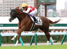 【注目馬動向】札幌で新馬快勝のアルテヴェローチェはサウジアラビアＲＣを視野