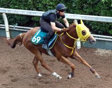 【ＰＯＧ】母デグラーティアの良血馬ハイファイスピードは今週の中京でデビュー　宮本調教師「母に似てますね」