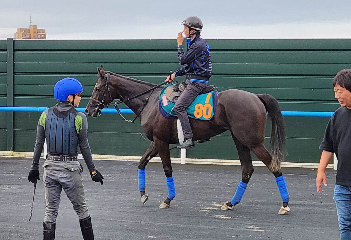 【ＰＯＧ】母がジャパンＣ馬の良血が２戦目で勝利を目指す　池添謙一騎手「シュッと動けていました」