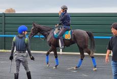 【ＰＯＧ】母がジャパンＣ馬の良血が２戦目で勝利を目指す　池添謙一騎手「シュッと動けていました」