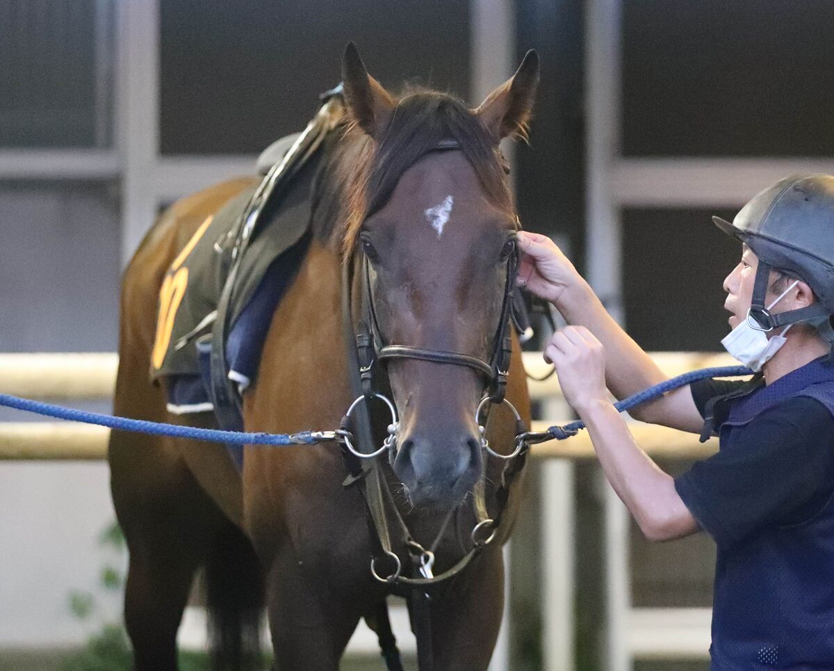 【小倉記念】ラジオＮＩＫＫＥＩ賞２着のシリウスコルトは６枠７番　ディープモンスターは８枠１１番　枠順決定